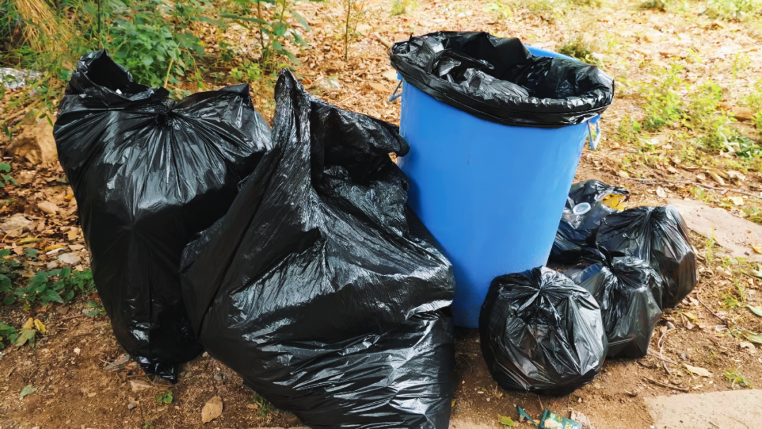 世界环境日 | 尊龙凯时开展2025公益净山活动 世界环境日 | 尊龙凯时开展2025公益净山活动